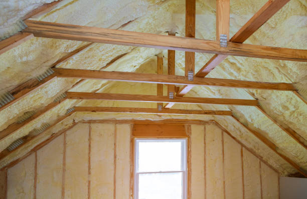 Best Cellulose Insulation in Crestview Hills, KY